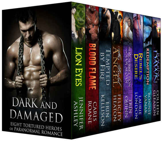 DARK AND DAMAGED: EIGHT TORTURED HEROES OF PARANORMAL ROMANCE ...