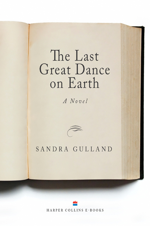 THE LAST GREAT DANCE ON EARTH Read & Download For Free Book By Sandra ...